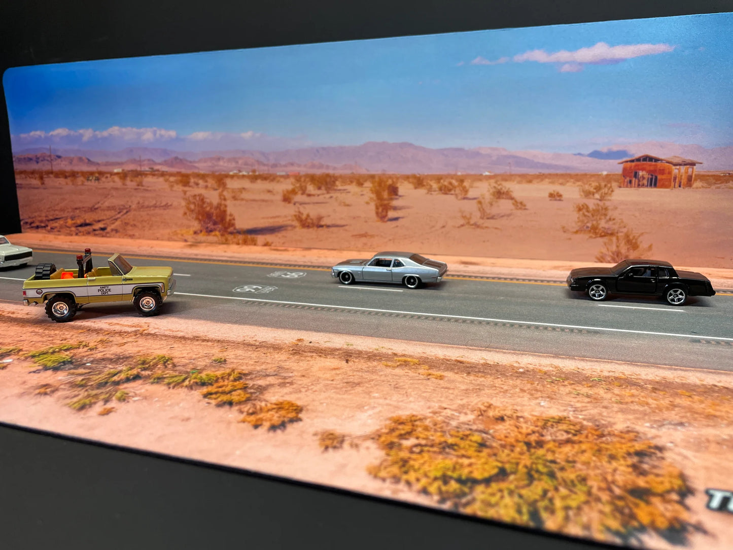 **PRE ORDER** Turbo Pads Mojave Desert Background